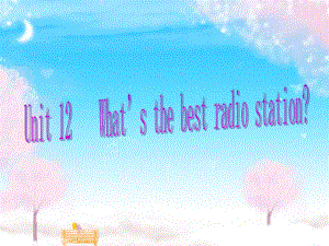 Whats_the_best_radio_station课件3.ppt