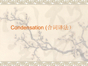 Condensation(合词译法）.ppt
