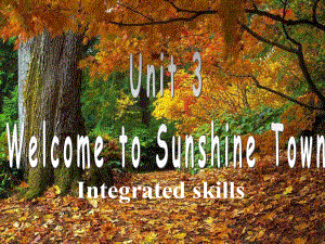 7b+unit+3+integrated+skills+课件.ppt