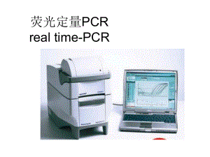 荧光定量PCR原理及操作步骤ppt课件.ppt