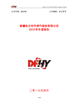 东方环宇：2018年年度报告.PDF