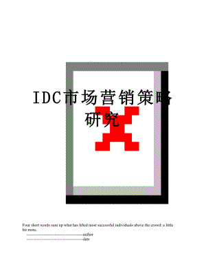 IDC市场营销策略研究.doc