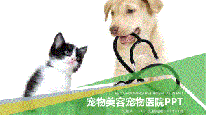 宠物美容宠物医院PPT课件模板.ppt