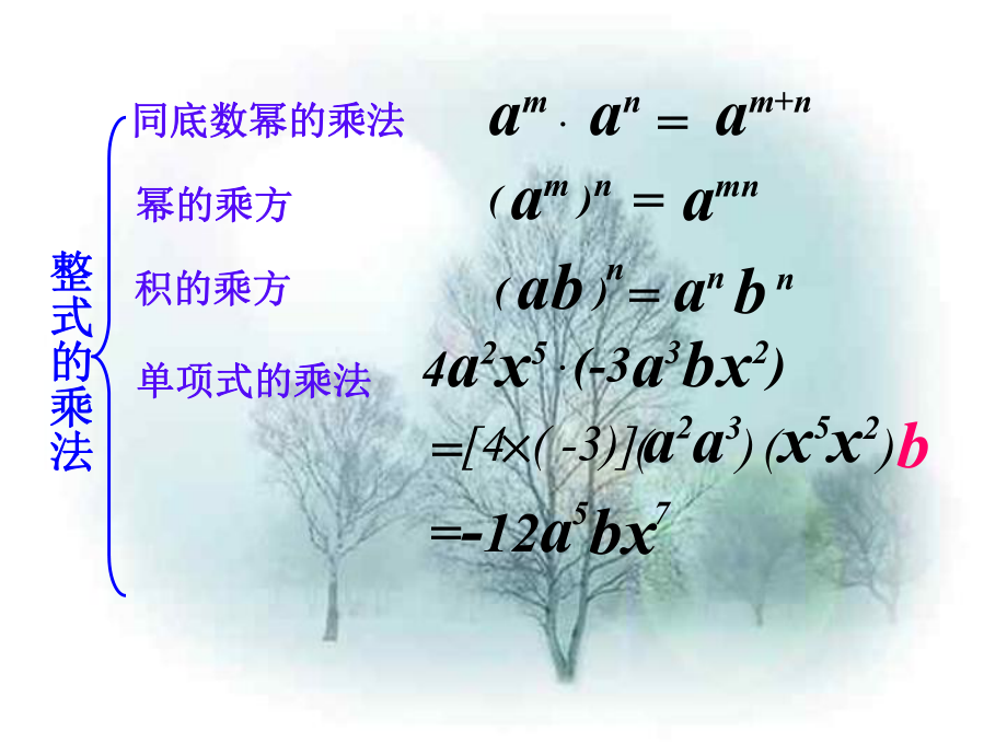 整式的乘法和乘法公式复习课PPT课件.ppt_第2页