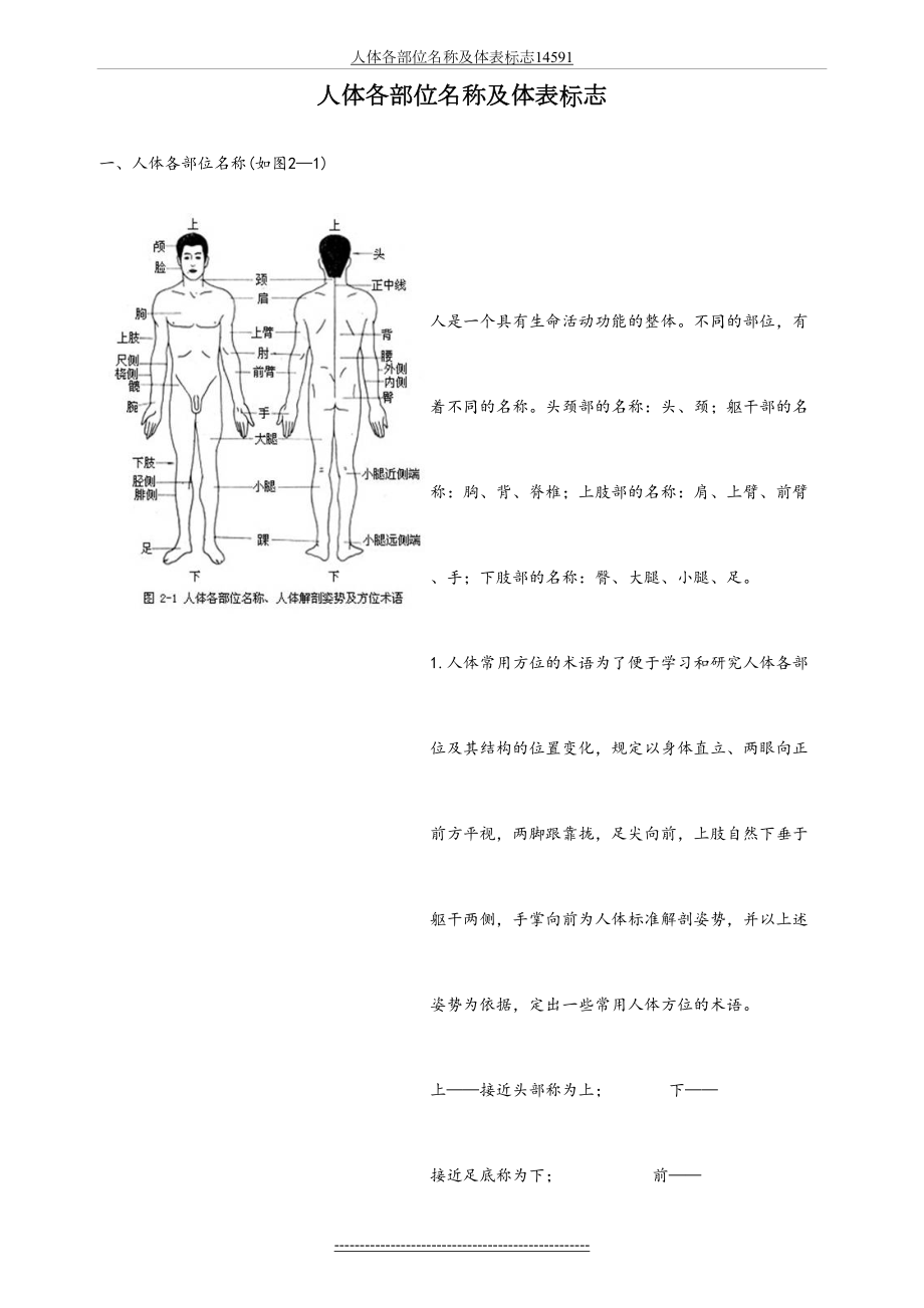人体各部位名称及体表标志14591.doc_第2页
