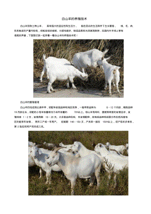 白山羊的养殖技术.pdf