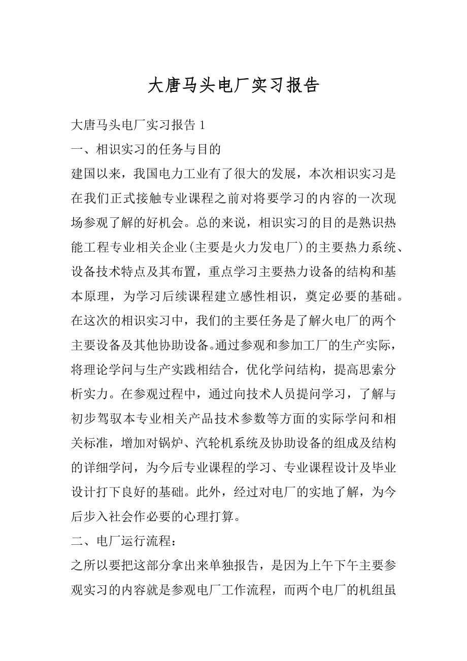 大唐马头电厂实习报告例文.docx_第1页