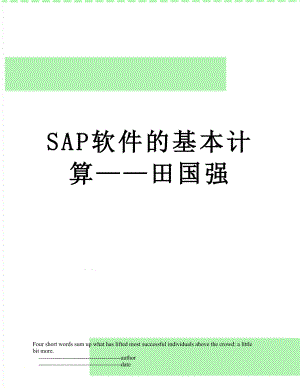 SAP软件的基本计算田国强.doc