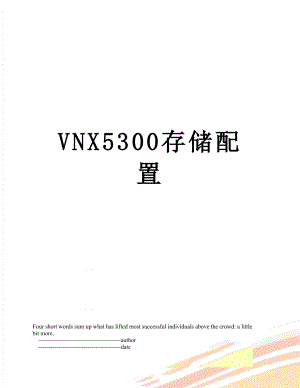 VNX5300存储配置.doc