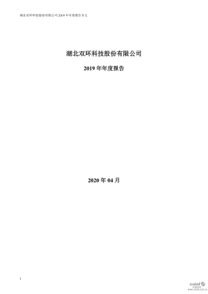 ST双环：2019年年度报告.PDF