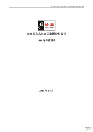 长高集团：2018年年度报告（更新后）.PDF