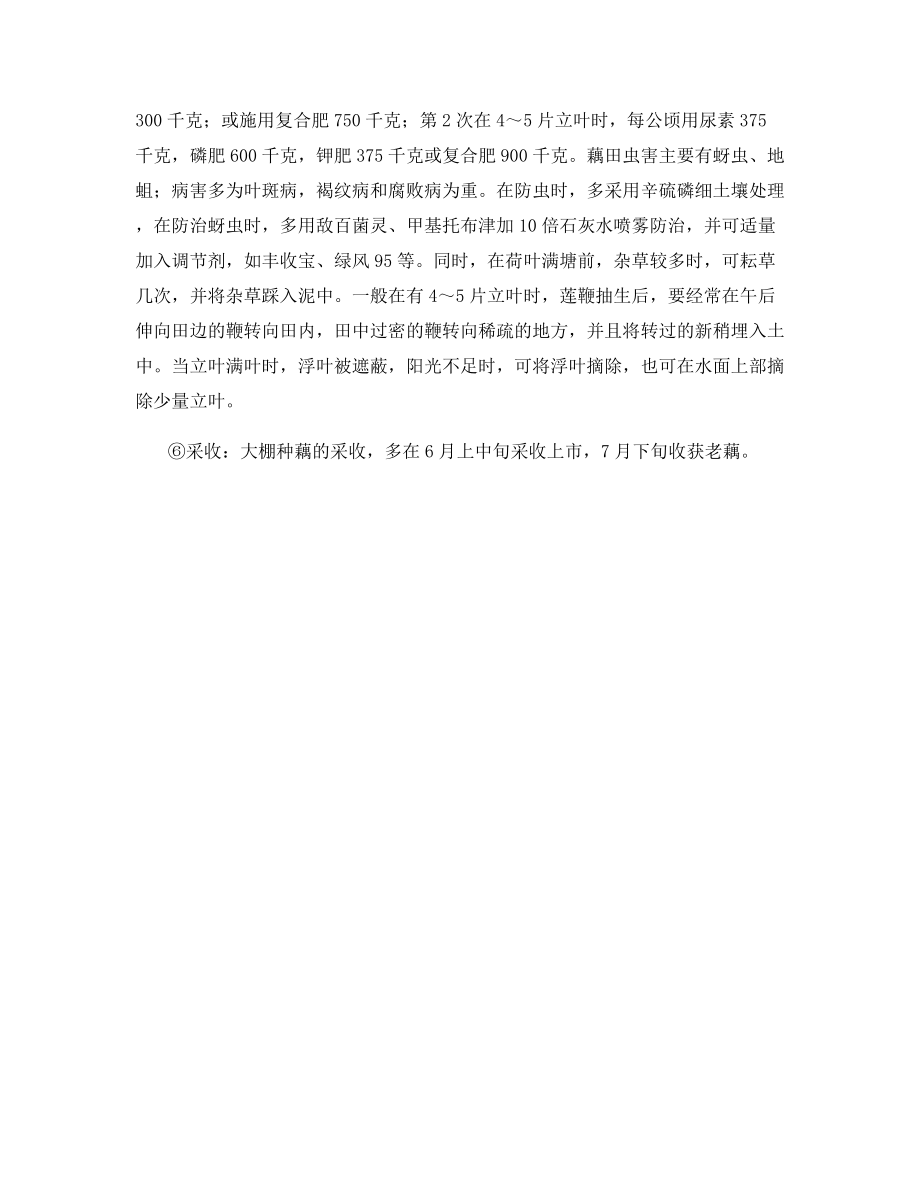 大棚莲藕高产高效栽培.docx_第2页