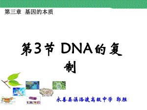 人教版高中生物必修二第三章第3节DNA分子的复制课件%28共21张PPT%29.ppt
