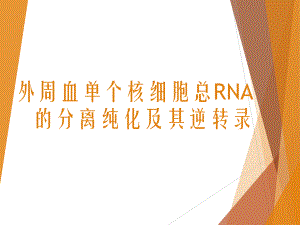 外周血单个核细胞总RNA的分离纯化及其逆转录ppt课件.pptx
