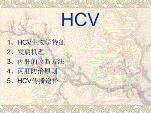 HCV分子生物学ppt课件.ppt