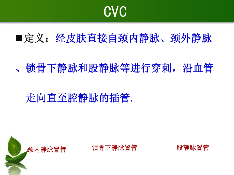 cvc导管维护3271.ppt_第2页