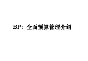 BP：全面预算管理介绍.ppt