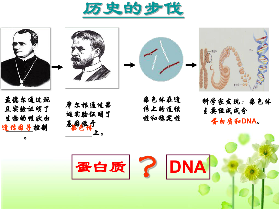 DNA是主要的遗传物质课件[1].ppt_第2页