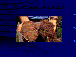 最新3.1.土壤孔性、结构性与耕性研究分析(共43张PPT课件).pptx