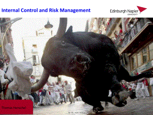 最新Internl Control nd Risk Mngement(共44张PPT课件).pptx