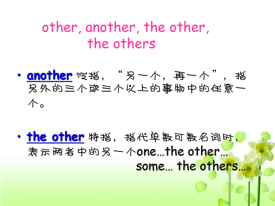 other-another-the-others-the-other的用法.ppt_第2页