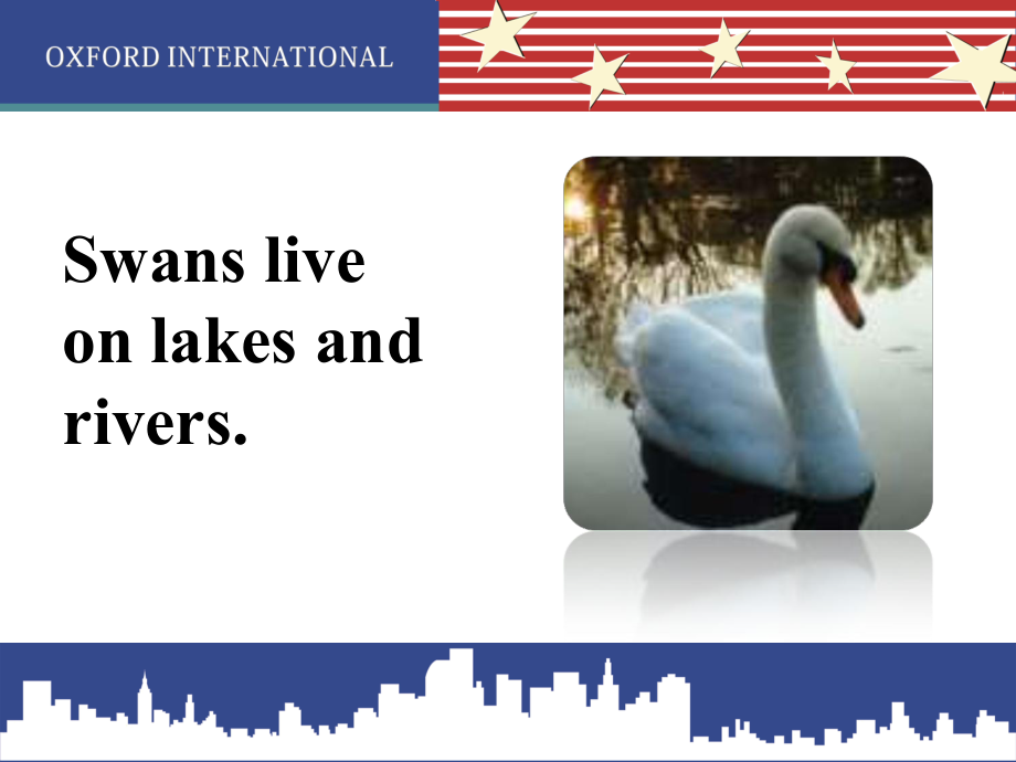 The-Swan-Story.ppt_第2页
