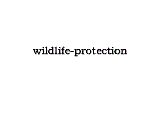 wildlife-protection.ppt