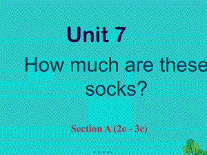 最新七年级英语上册 unit 7 how much are these socks section a（2e- 3c课件 （新版人教新目标版(共19张ppt课件).pptx