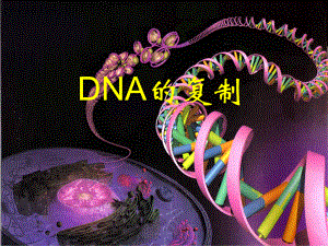 高二生物DNA的复制PPT课件.ppt