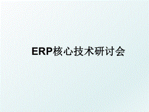 ERP核心技术研讨会.ppt