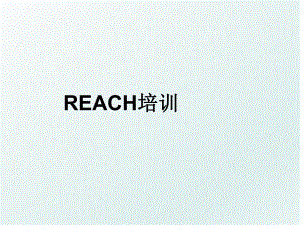 REACH培训.ppt