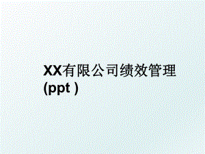 xx有限公司绩效(ppt ).ppt