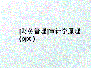 财务审计学原理(ppt ).ppt
