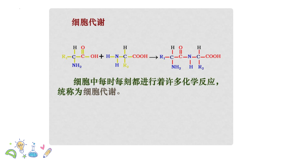 高三一轮复习课件：酶与ATP.pptx_第2页