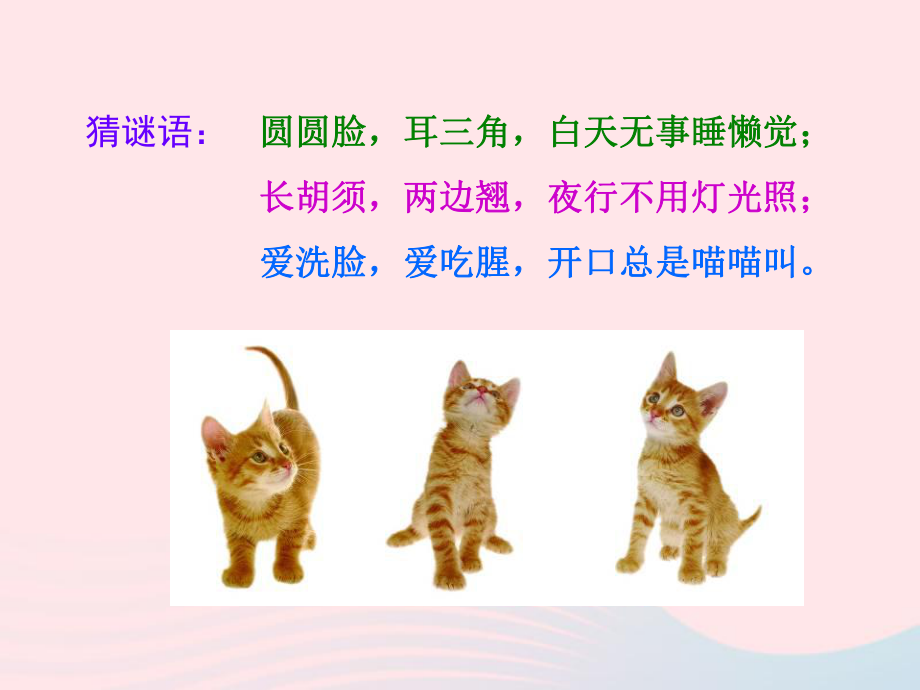二年级美术下册第17课可爱的猫咪课件4浙美版.ppt_第2页