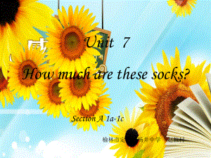 赵粒村How_much_are_these_socks课件.ppt