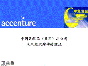 中国免税品（集团）总公司组织结构建议.pptx