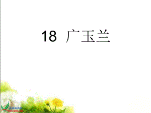 18广玉兰PPT课件.ppt