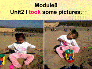 新版外研版(三年级起)四年级下Module8_Unit2_I_took_some_pictures课件.ppt