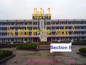 七(上)_Unit_7How_much_are_these_socksSection_B课件2012版_2.ppt