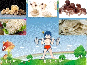 蘑菇营养.ppt