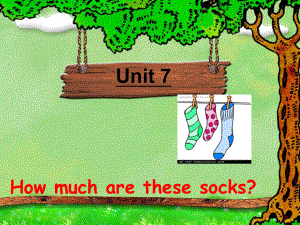 How_much_are_these_socks.ppt