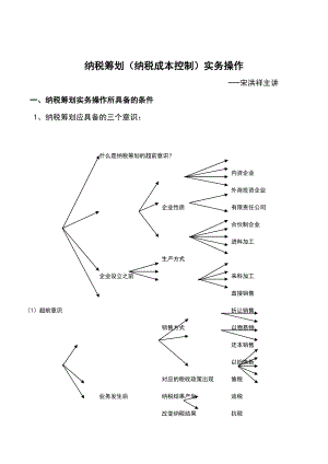 纳税筹划实务操作(doc 28页).docx