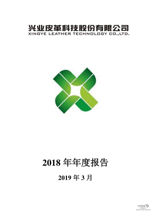 兴业科技：2018年年度报告.PDF