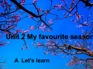 五年级英语下册课件：Unit2 My favourite season Part -A Let's learn-人教PEP版(共15张PPT).ppt