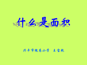 王宝艳(什么是面积).ppt