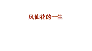 四年级下册科学课件-8凤仙花的一生教学课件 教科版（2017）(共14张PPT).pptx