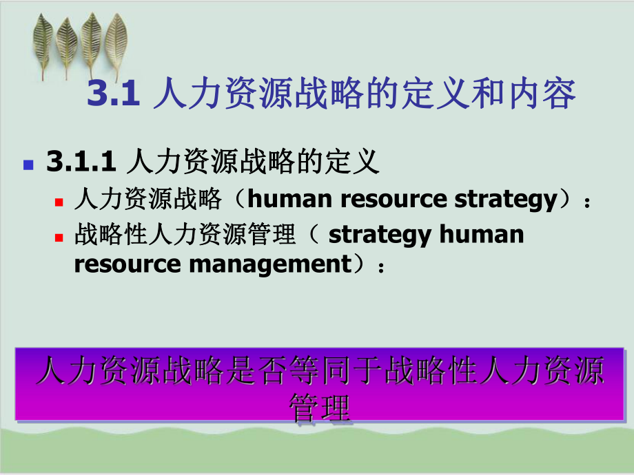 人力资源战略PPT课件.ppt_第2页