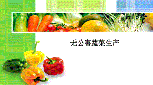 四-无公害熟菜(一)-无公害蔬菜概念及意义ppt课件.pptx