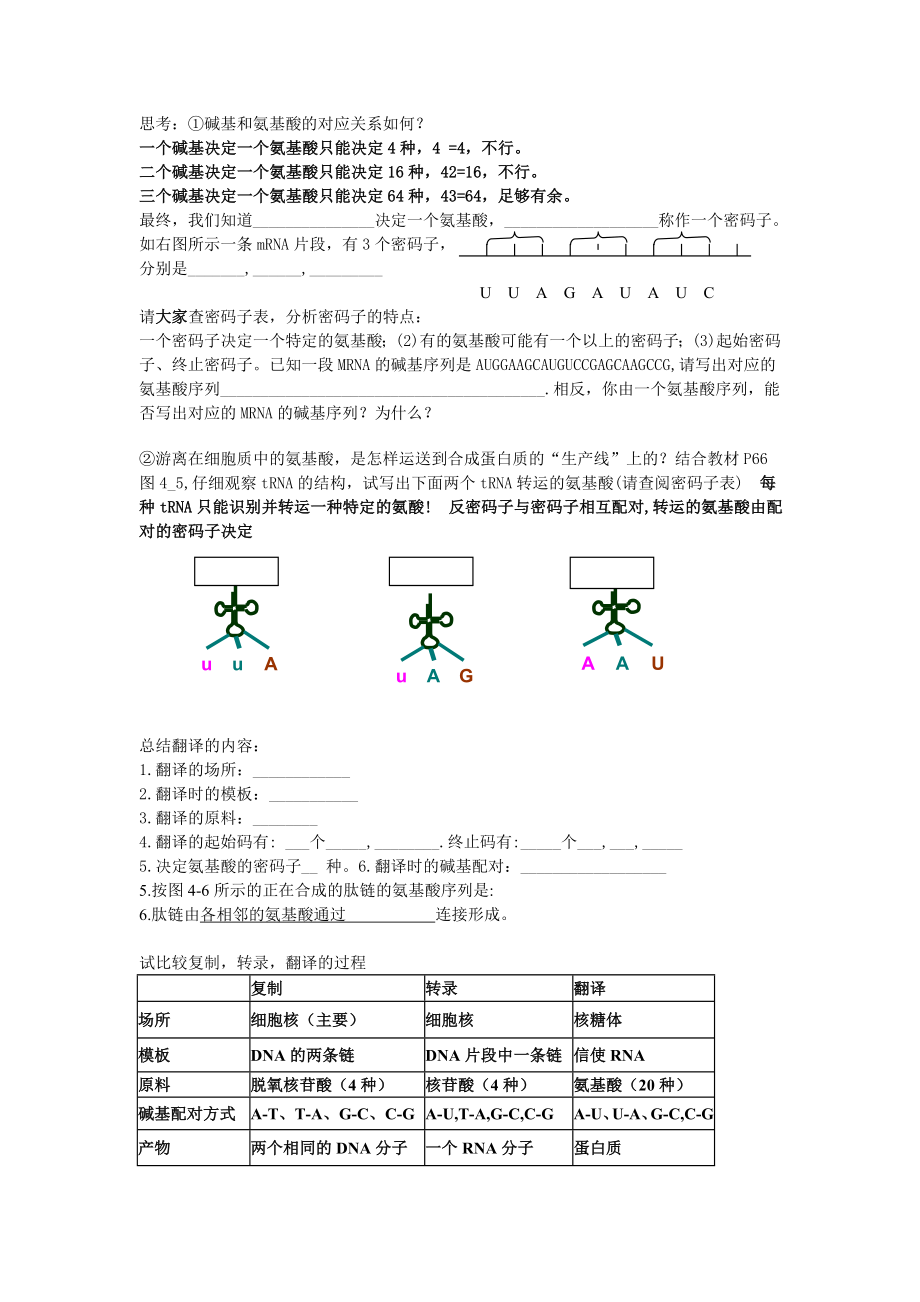 【高中生物】第四章-基因的表达--第1节-基因指导蛋白质的合成.doc_第2页